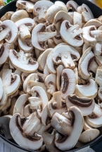 SALSA  CHAMPI�ONES